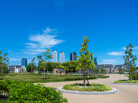写真：名古屋駅の高層ビル群を望む公園